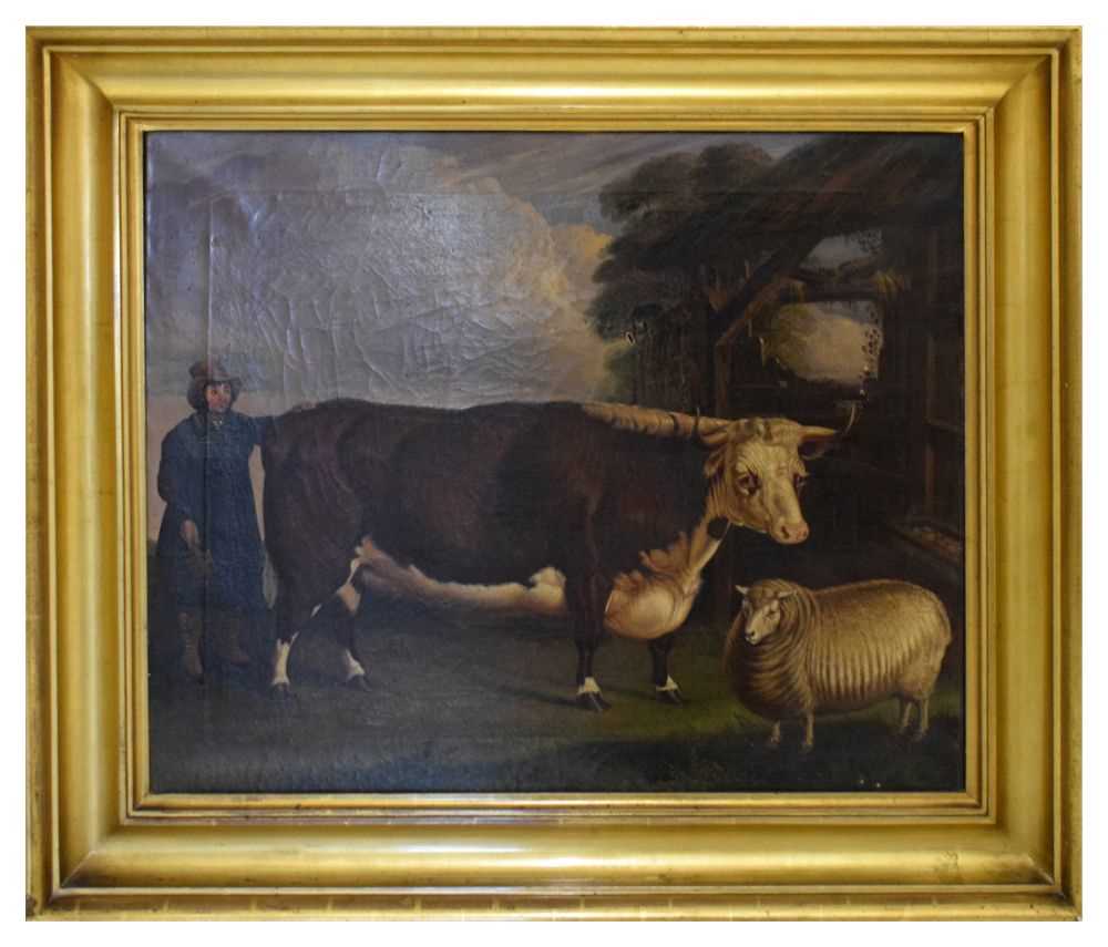 Lot 370 - Lucas Beattie (British, 19th Century) - Oil on canvas - Prize dairy shorthorn and sheep