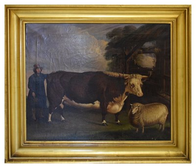 Lot 370 - Lucas Beattie (British, 19th Century) - Oil on canvas - Prize dairy shorthorn and sheep
