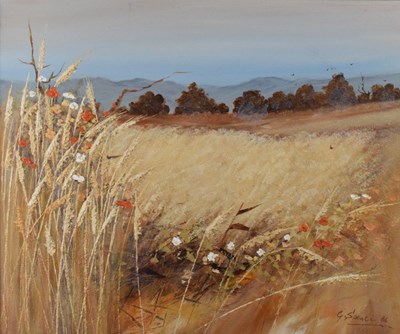 Lot 357 - George Spence - Oil on canvas - Poppies, Fife, Scotland