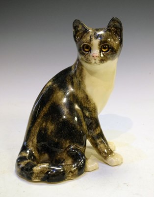 Lot 313 - Winstanley cat