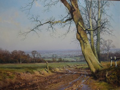 Lot 427 - Tony Sheath (b.1946) - Oil on canvas - 'After The Rain'