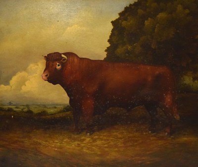 Lot 378 - Naive study of a bull