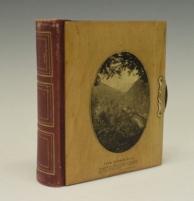 Lot 141 - Mauchlineware carte de visite album