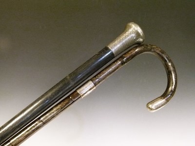 Lot 271 - Two silver mounted walking  sticks