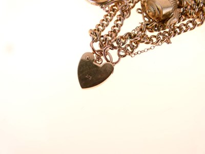 Lot 33 - 9ct gold charm bracelet