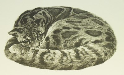 Lot 496 - Gary Hodges 
