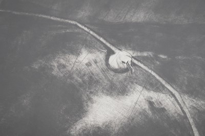 Lot 782 - Katrina Van Grouw (nee Cook) - Limited edition signed print - 'Albatross', 4/30