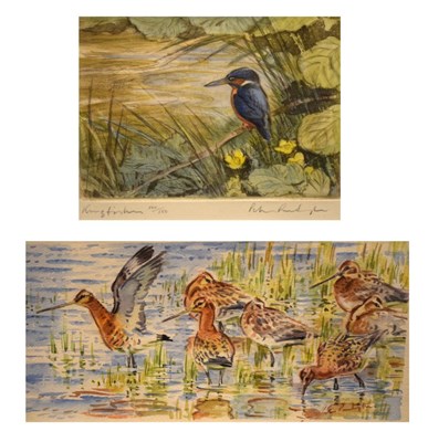 Lot 502 - Peter Partington - watercolours - Black-tailed godwits, together with