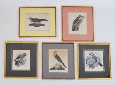 Lot 783 - Three early 19th Century hand-coloured bird prints and two others