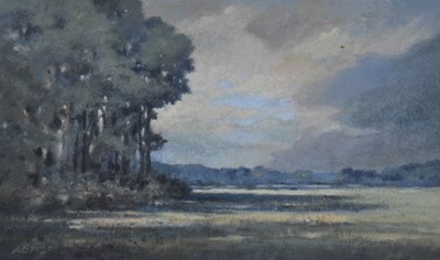 Lot 452 - P.E.Brown - Oil on board - Landscape