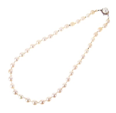 Lot 38 - Uniform row of cultured pearls