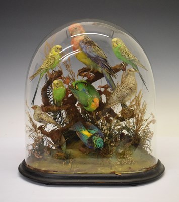 Lot 191 - Taxidermy -  Late Victorian diorama of containing a display of tropical birds