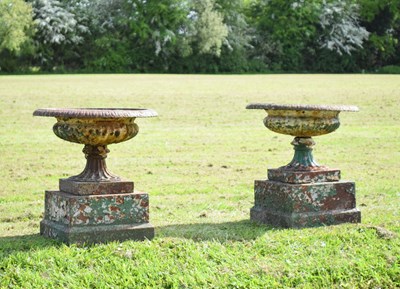 Lot 219 - Pair of cast iron pedestal urns