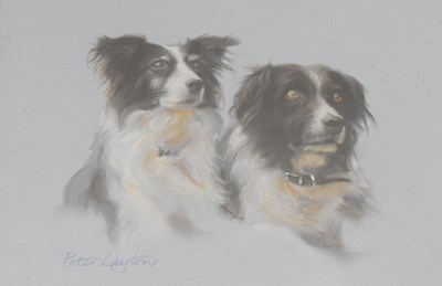 Lot 453 - Peter Layton, 20th Century - Three pastels of Collies and Spaniel