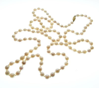 Lot 62 - Uniform row of cultured freshwater pearls