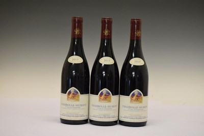 Lot 566 - George Mugneret-Gibourg Chambolle Musigny 1er Cru Les Feusselottes, 2015, Côte de Nuits, Burgundy