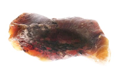Lot 434 - Ambergris, found on a beach in Wales