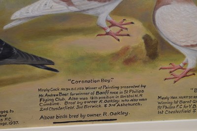 Lot 550 - Andrew Beer (1862-1954) - Oil on canvas - Triple pigeon portraits