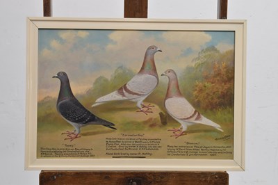 Lot 550 - Andrew Beer (1862-1954) - Oil on canvas - Triple pigeon portraits