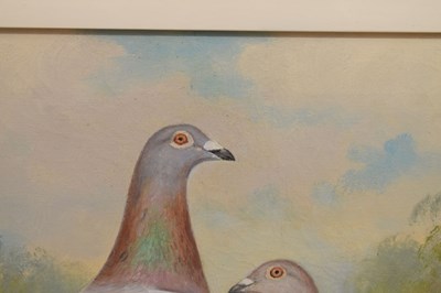 Lot 550 - Andrew Beer (1862-1954) - Oil on canvas - Triple pigeon portraits