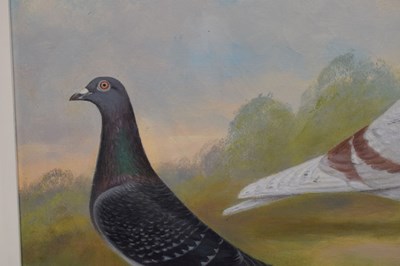 Lot 550 - Andrew Beer (1862-1954) - Oil on canvas - Triple pigeon portraits