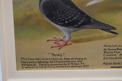 Lot 550 - Andrew Beer (1862-1954) - Oil on canvas - Triple pigeon portraits