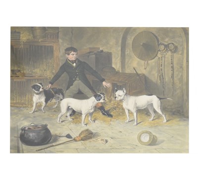 Lot 516 - Mid 19th century aquatint - Jem Burns' Four Pets