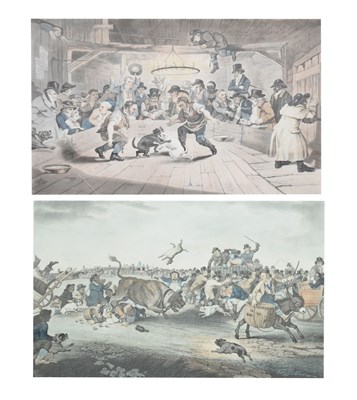 Lot 519 - Two coloured engravings - 'Westminster Pit' and 'Bull Broke Loose'