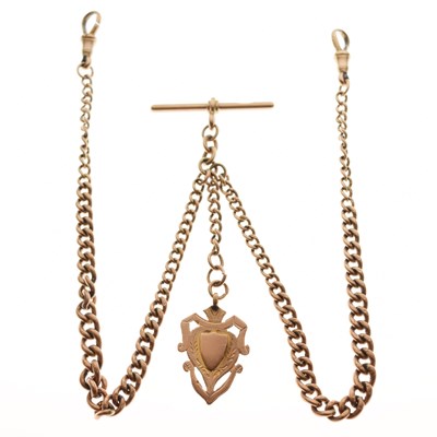 Lot 67 - 9ct gold graduated curb link Albert watch chain