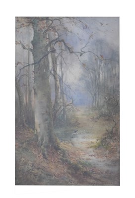 Lot 552 - Thomas Tayler Ireland (1874-1931) - Watercolour - 'In the Woods'