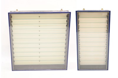 Lot 228 - Two scratch made glass door display cabinets
