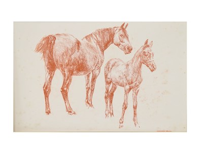 Lot 531 - Norman Hood (1923-2014) – Collection of red chalk and charcoal horse and elephant studies