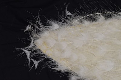 Lot 394 - Taxidermy:  White (Leucistic) peacock
