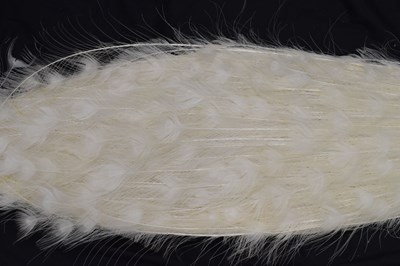 Lot 394 - Taxidermy:  White (Leucistic) peacock