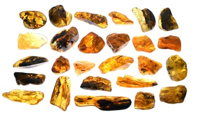 Lot 193 - Collection of amber boulders