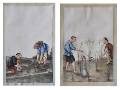 Lot 539 - Pair of 19th century Chinese watercolours on pith paper - rice farming scenes