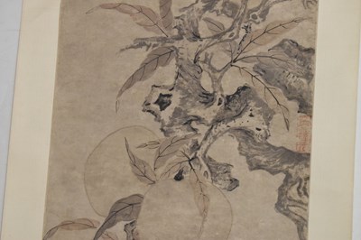 Lot 249 - Chinese watercolour scroll painting depicting foliage and fruit