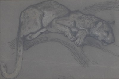 Lot 465 - Attributed to Richard Joyce (1873-1931) - Pastel - Study of a cougar
