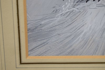 Lot 320 - Archibald Thorburn (1860-1935)  - ‘Male Black Grouse’