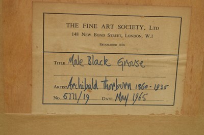 Lot 320 - Archibald Thorburn (1860-1935)  - ‘Male Black Grouse’