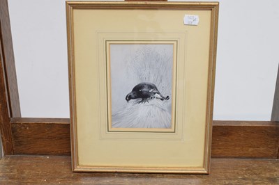 Lot 320 - Archibald Thorburn (1860-1935)  - ‘Male Black Grouse’