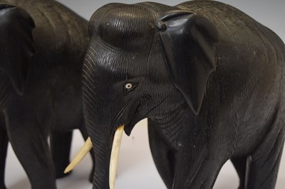 Lot 526 - Pair of ebony elephants with ivory tusks