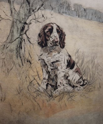 Lot 578 - Henry Wilkinson - Coloured etching - Springer Spaniel, signed