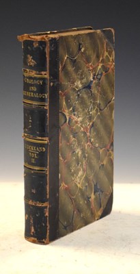 Lot 317 - Buckland - Geology and Mineralogy Vol II
