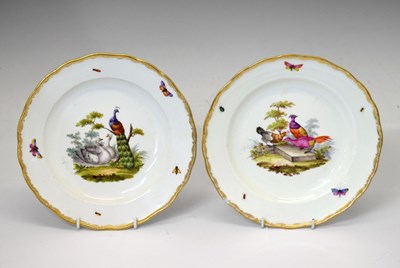 Lot 231 - Pair of Meissen ornithological plates