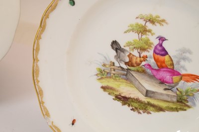 Lot 231 - Pair of Meissen ornithological plates