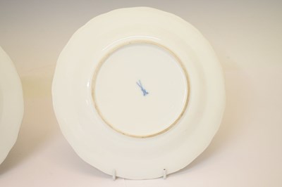 Lot 231 - Pair of Meissen ornithological plates