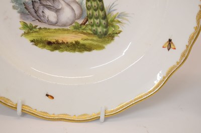 Lot 231 - Pair of Meissen ornithological plates