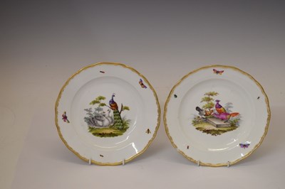 Lot 231 - Pair of Meissen ornithological plates
