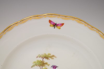 Lot 231 - Pair of Meissen ornithological plates